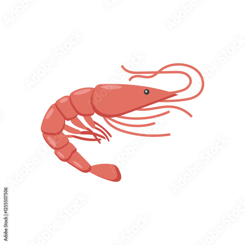 ShrimpSeafood Vector Illustration, Isolated