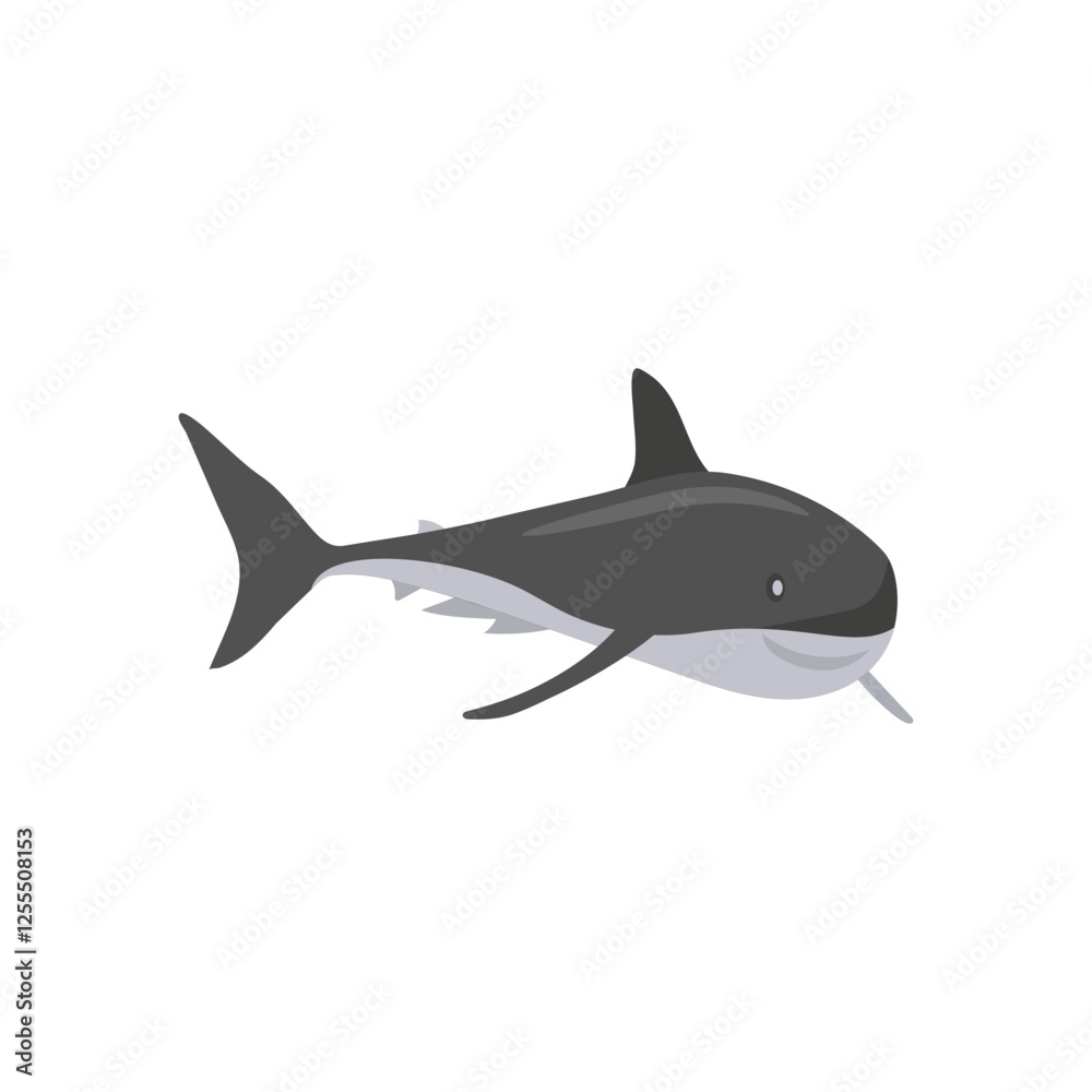 White SharkSeafood Vector Illustration, Isolated White SharkSeafood Vector Illustration, Isolated