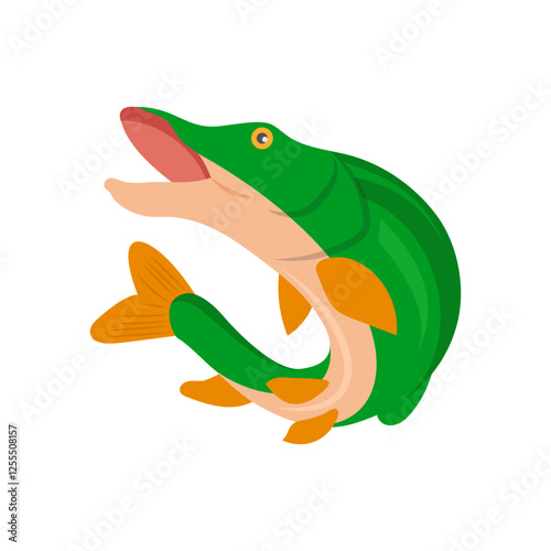 PikeSeafood Vector Illustration, Isolated