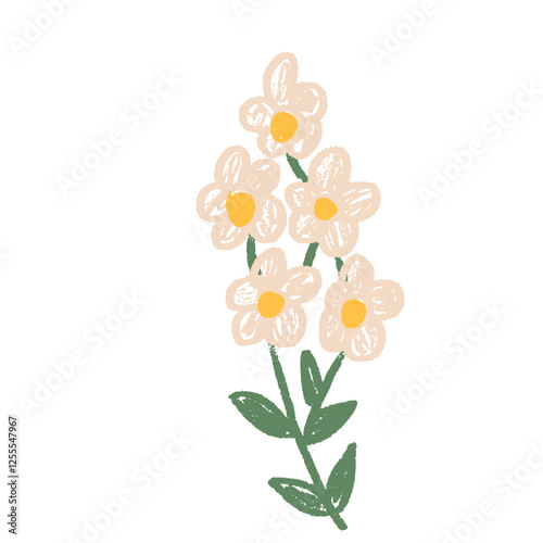 Flower crayon drawn. Spring plant doodle isolated on white background. Summer floral kids element. Chalk or pastel style childish scrawl nature shape. Vector naive illustration by pencil.