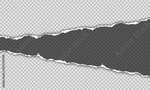 Vector horizontal torn paper edge. Ripped paper strip with soft shadow.