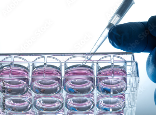 Pipetting cells into growth medium in a biomedical research setting photo