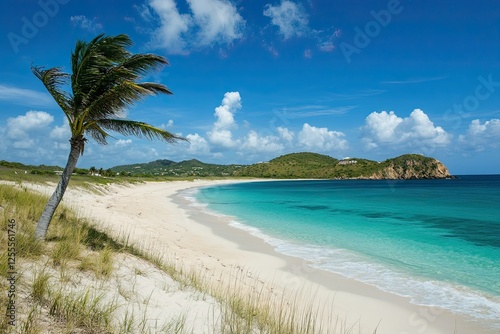 Tropical Beach Scene with Palm Tree and Azure Waters photo