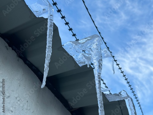 Long icicles closeup on a concrete fence with barbed wire