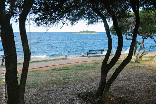Seaside view with a bench framed by trees