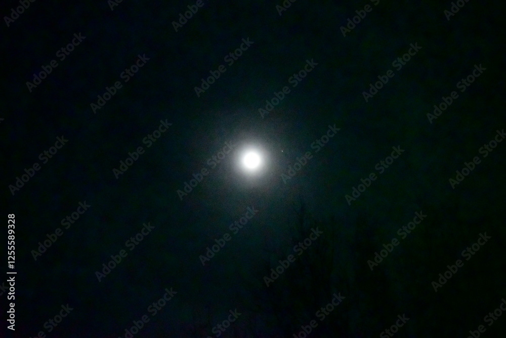 Full Moon Full Moon
