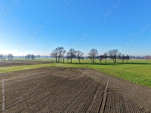 Offene weite Landschaft mit Acker und Wiesen und einer Baumreihe an einem sonnigen und klaren Wintertag photo