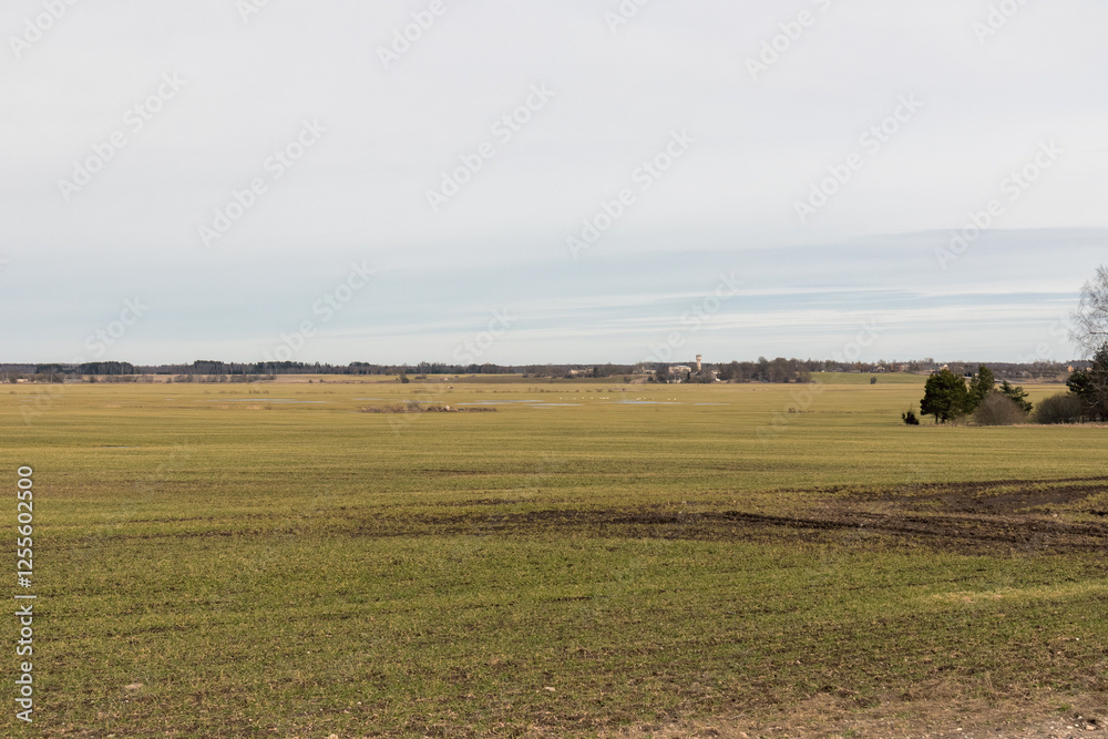 a wide field of grass with car tire tracks stretching into the distance into the forest.
a wide field of grass with car tire tracks stretching into the distance into the forest.