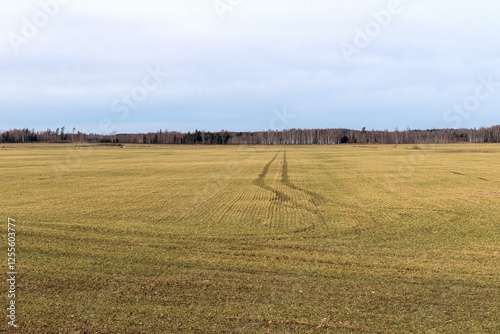 
a wide field of grass with car tire tracks stretching into the distance into the forest.