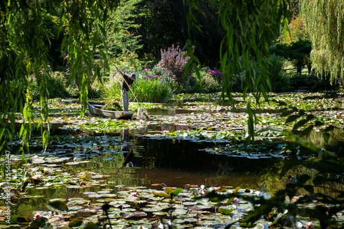Iconic pond and water lily plants at the famed Giverny, France, home of the French impressionist painter Claude Monet.