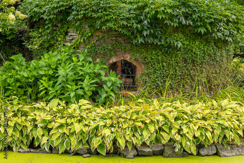 Arboretum Wojsławice Ogród Botaniczny Uniwersytetu Wrocławskiego – ogród botaniczny na terenie Niemczy w woj. dolnośląskim. W 1988 roku włączony w struktury Ogrodu Botanicznego . photo