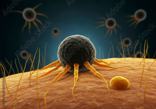 3D Illustration of Mucor Mold, Black and Yellow Fungi Linked to Mucormycosis Affecting Skin, Sinuses, Brain, and Lungs photo