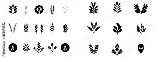 Isolated frames of wheat, barley, and oat ears, wreaths, grains graphic, rice or malt icons, gluten pictogram, modern cereal silhouettes, agriculture symbols