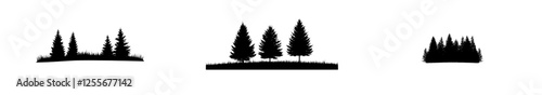 Isolated evergreen forest pine tree. Christmas tree in park alleyway. Modern artwork. Scene with solitary trees