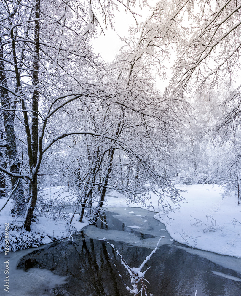 Fototapeta premium Snowy landscape with a river and trees