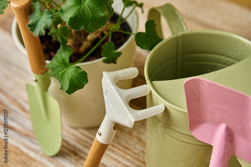 Close-up of gardening tools, watering can and potted plant on wooden table. Concept of gardening and plant care