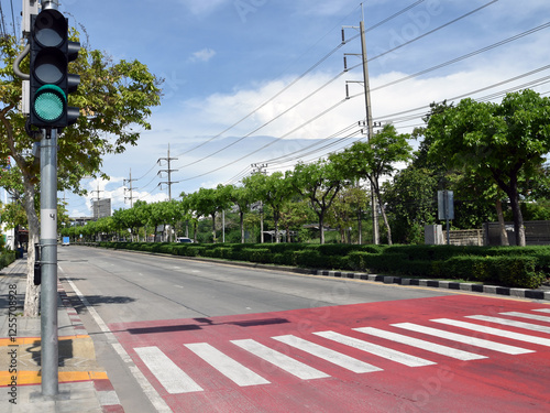 illuminated traffic light pole on sidewalk before zebra crosswalk on road