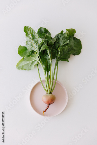 Just harvested golden beet with greens still attached.