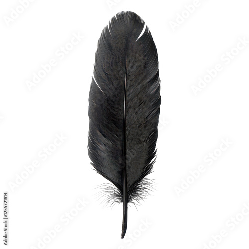 black feather isolated on transparent background