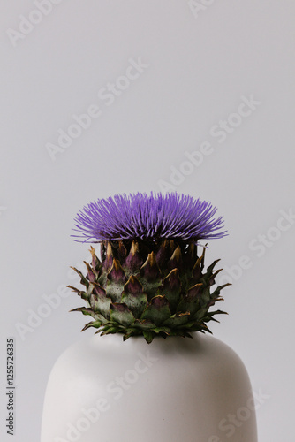 Artichoke in full bloom with purple flower in a white vase.