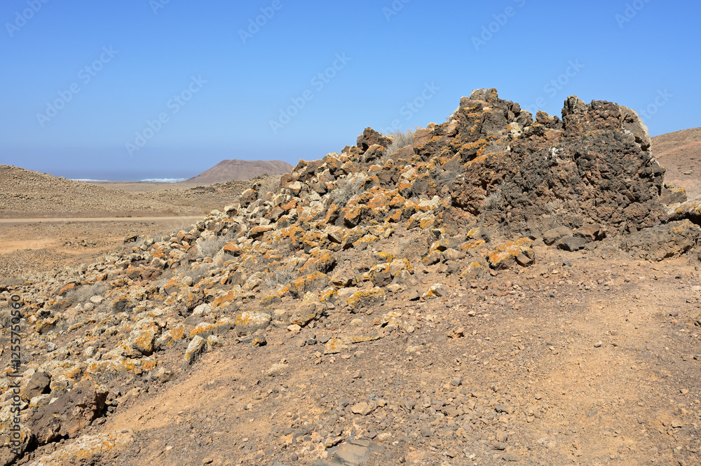 Fototapeta premium Hill of cooled Lava against blue sky seen during an excursion in volcanic landscape of the nature park Caminos Naturales, Fuerteventura, Canary Islands, Spain