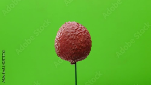lychee on green background