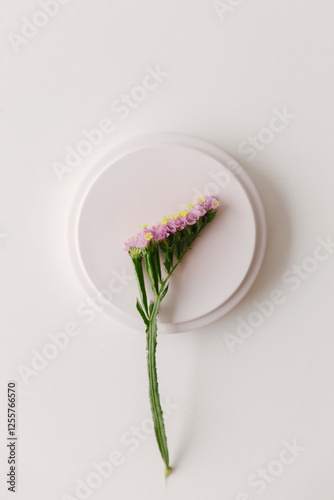 Pink common sea lavender on a round shape.