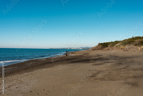 Fototapeta Naklejka Na Ścianę i Meble -  Panorama of the beach of the Tomboli di Cecina Nature Reserve Marina di Cecina Tuscany Italy 
