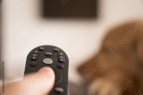 Fotografia A close-up of a hand holding a TV remote, with the blurred face of a golden retr
