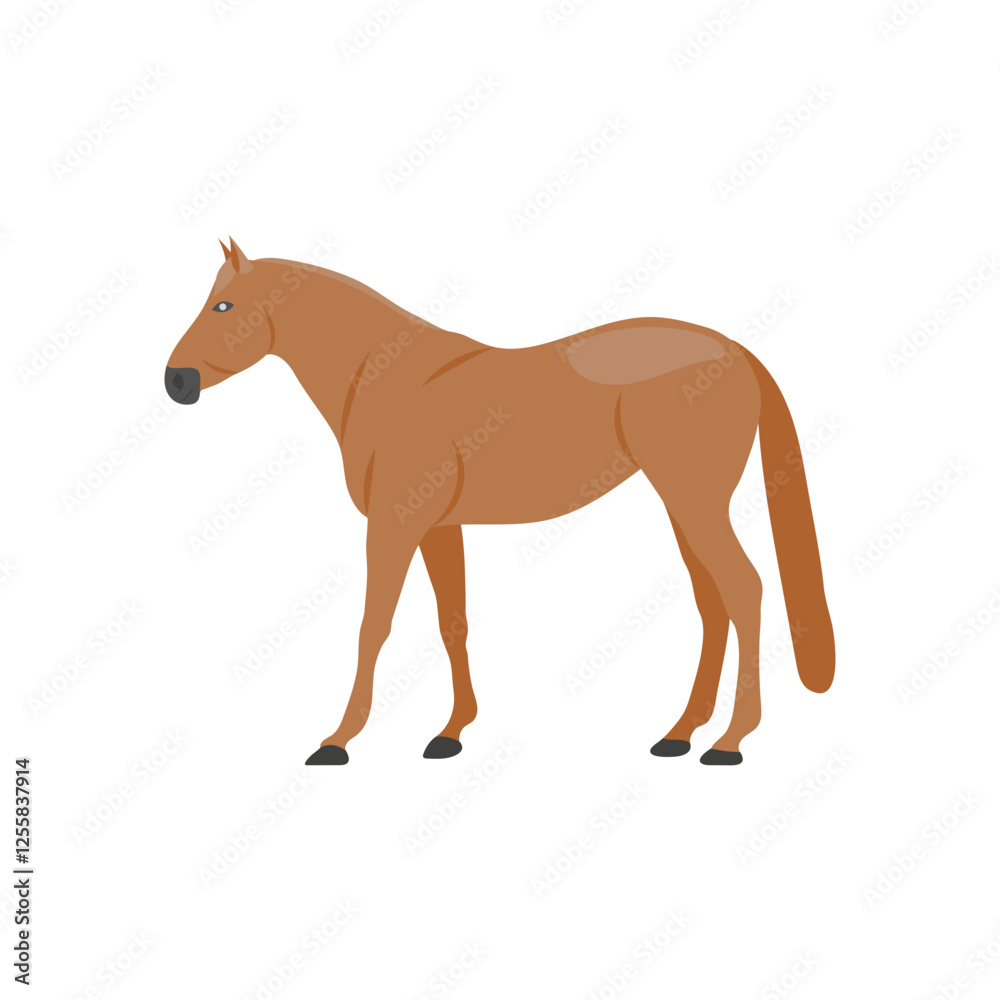 Horse Zodiac, China Symbols Vector Illustration Horse Zodiac, China Symbols Vector Illustration