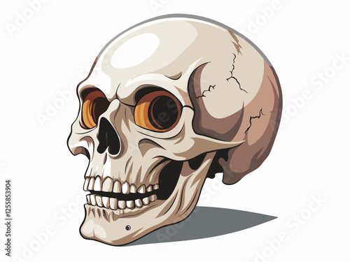 Realistic human skull isolated on a white background. ideal for Halloween, medical studies, and anatomy reference -  Anatomical and Artistic Design.