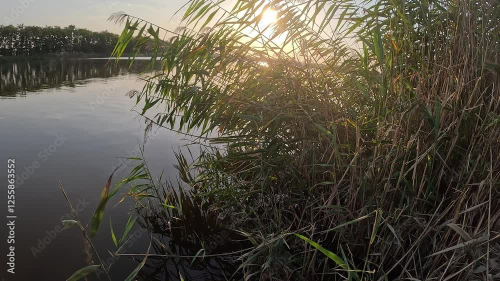 Lake view. Sunset. Travel by the water. Calm. Rest. Peace. Lake view. Sunset. Travel by the water. Calm. Rest. Peace.