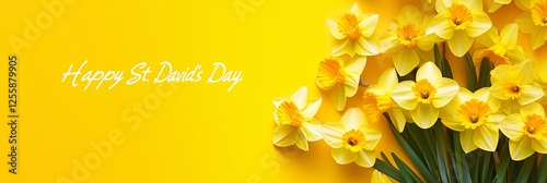 Happy St David's day floral composition with bright yellow daffodils on white background, national welsh holiday concept of floristry seasonal greeting card. Top view with free space, banner