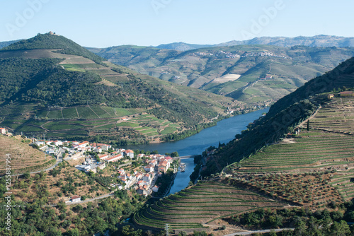 Aerial view of the Duero River  in Portugal from the top of a mountain  photo