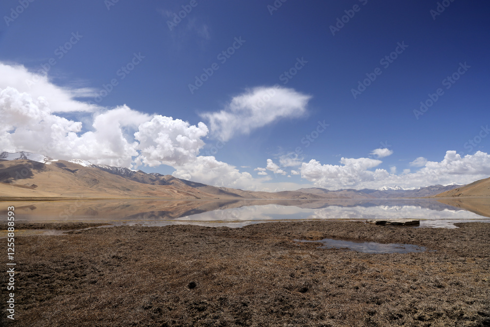 Tsomoriri Lake. It is located approximately 219 km from Leh City, capital of Ladakh. The lake and surrounding area are protected as the Tso Moriri Wetland Conservation Reserve. Tsomoriri Lake. It is located approximately 219 km from Leh City, capital of Ladakh. The lake and surrounding area are protected as the Tso Moriri Wetland Conservation Reserve.