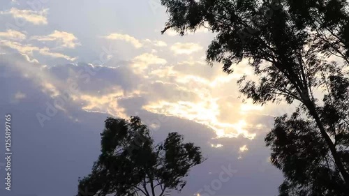 The sun is setting and the wind is blowing in the evening. sky is turnin red. A beautiful scene. A village in Dehradun. Uttarakhand. india. 05- 26-2020 photo