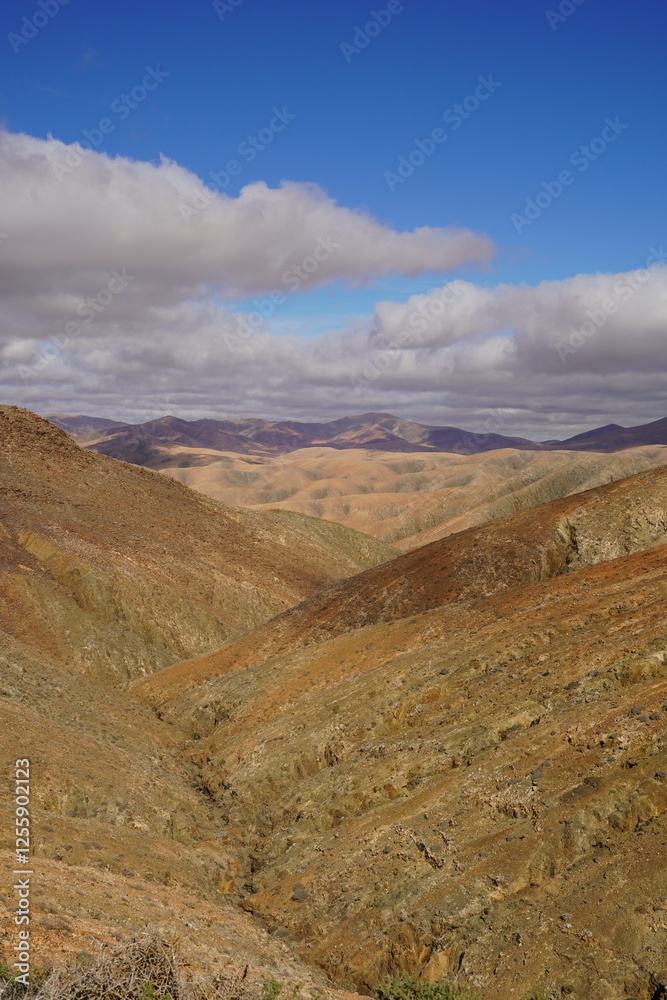 Fuerteventura, Canaries