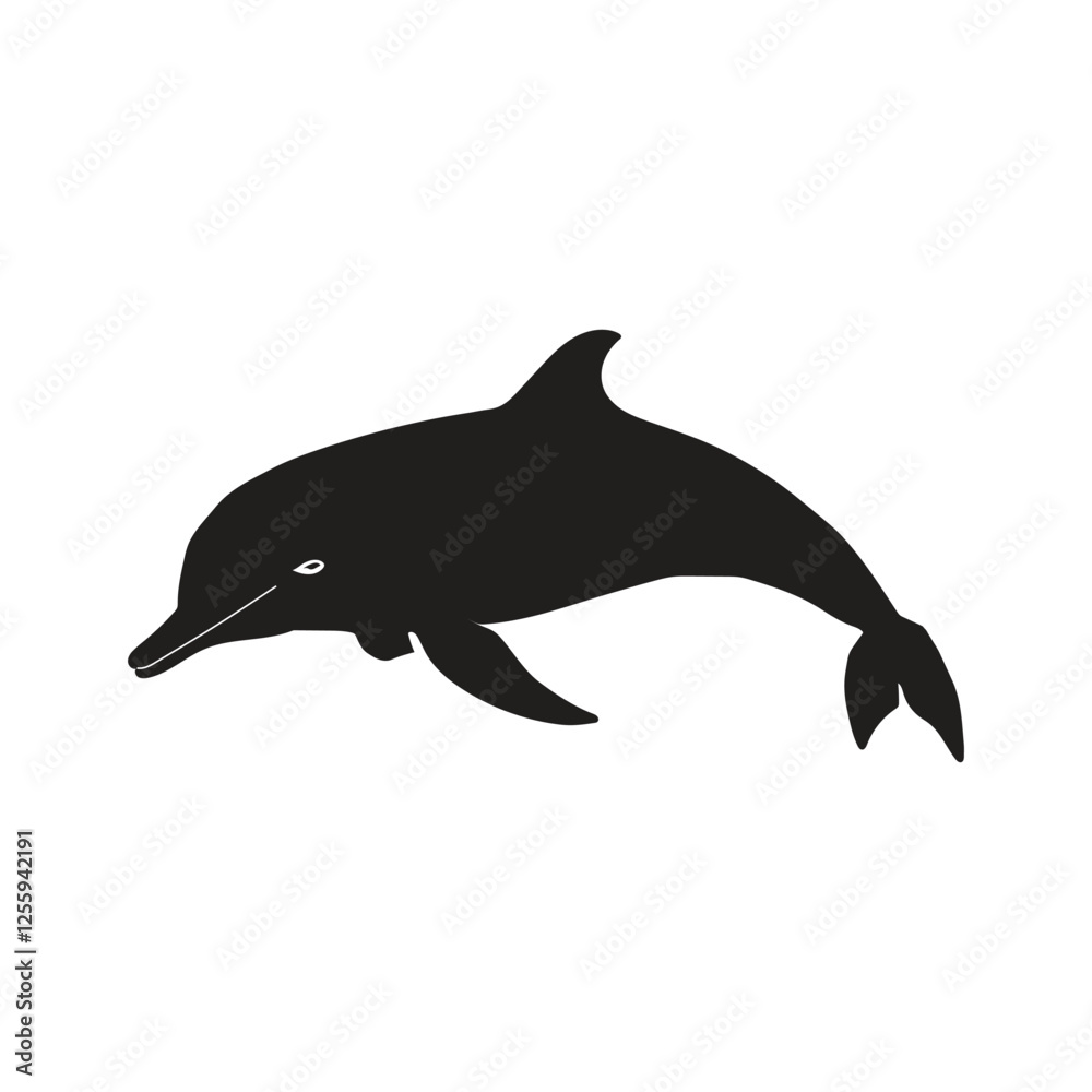 Obraz premium Dolphin Illustration Vector With White Background.