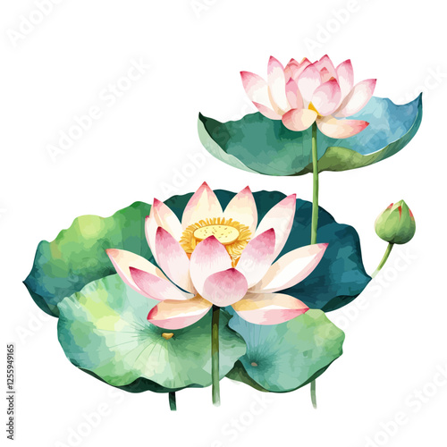 Watercolor lotus flower set, white background, vector illustration. Perfect for wedding, cards, posters, flyers.	
