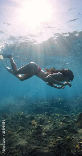 Sexy woman swims underwater in tropical clear ocean