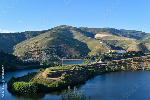 Afternoon view of vineyards on the banks of the Duoro River in Portugal's Duoro Valley
