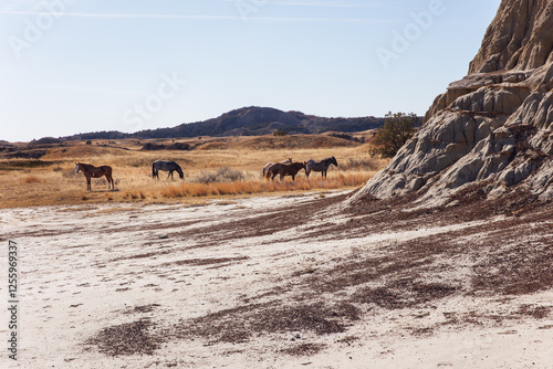 Wild Horses in the badlands