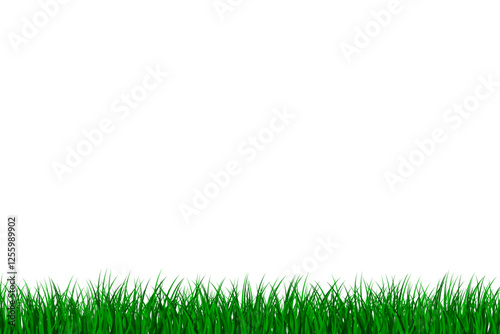 Grass Isolated Background.