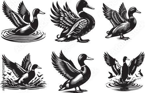 Illustration of various bird silhouettes including ducks geese and other flying birds