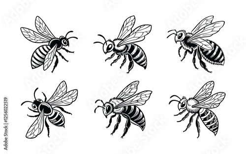 Honey Bee Vector silhouette illustration.