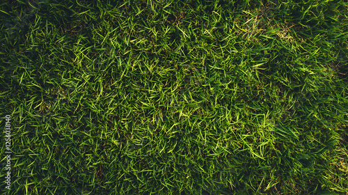 textura de pasto o hierba un campo de cesped verde en un parque o campo con espacio de copia photo