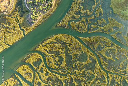 Aerial view of the Guadalquivir Marshes in vibrant colors