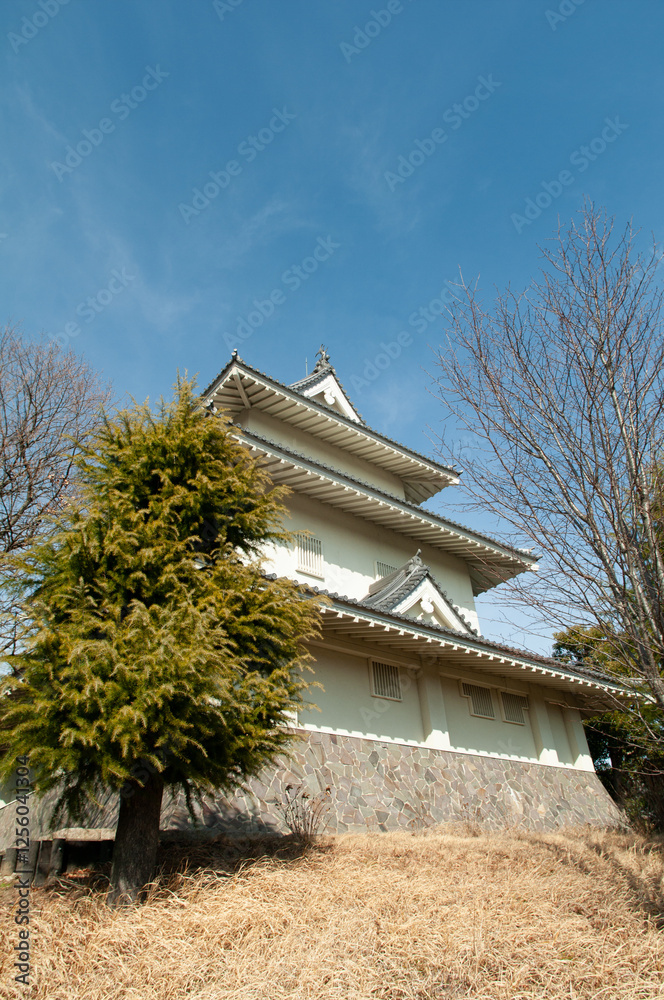 Fototapeta premium 騎西城