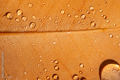 Close up of dew droplets on a dry leaf showcasing nature detail photo