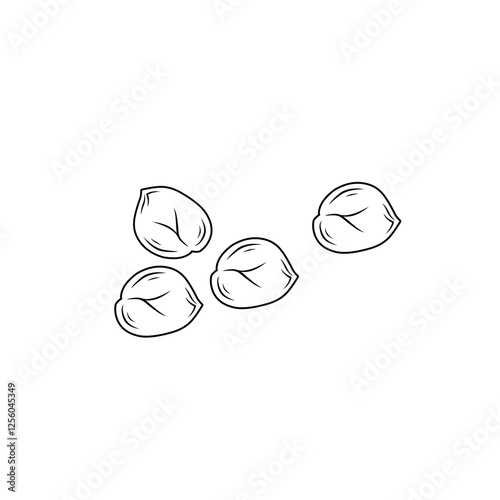 chickpea line sketch